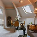 Huswell - Rooftop Apartment In City Center, Pets Are Welcome