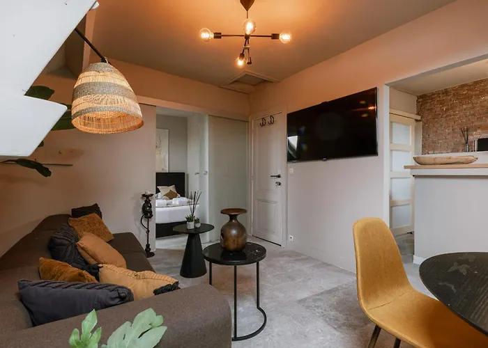 Huswell - Rooftop Apartment In City Center, Pets Are Welcome