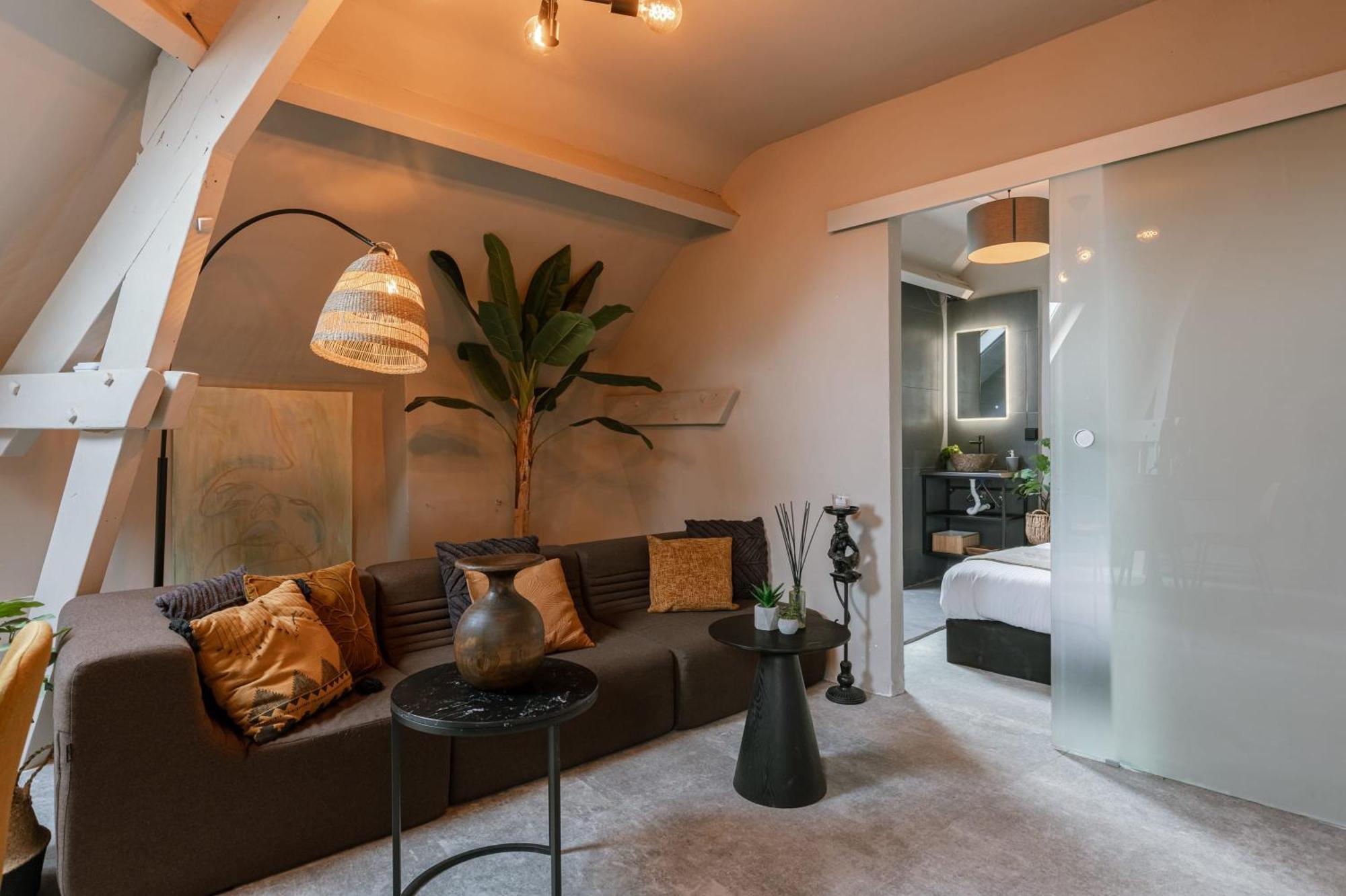 Huswell - Rooftop In Center, Pets Are Welcome Appartement *